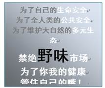 2024新澳门原料免费462_准确资料解析实施_精英版157.247.91.35