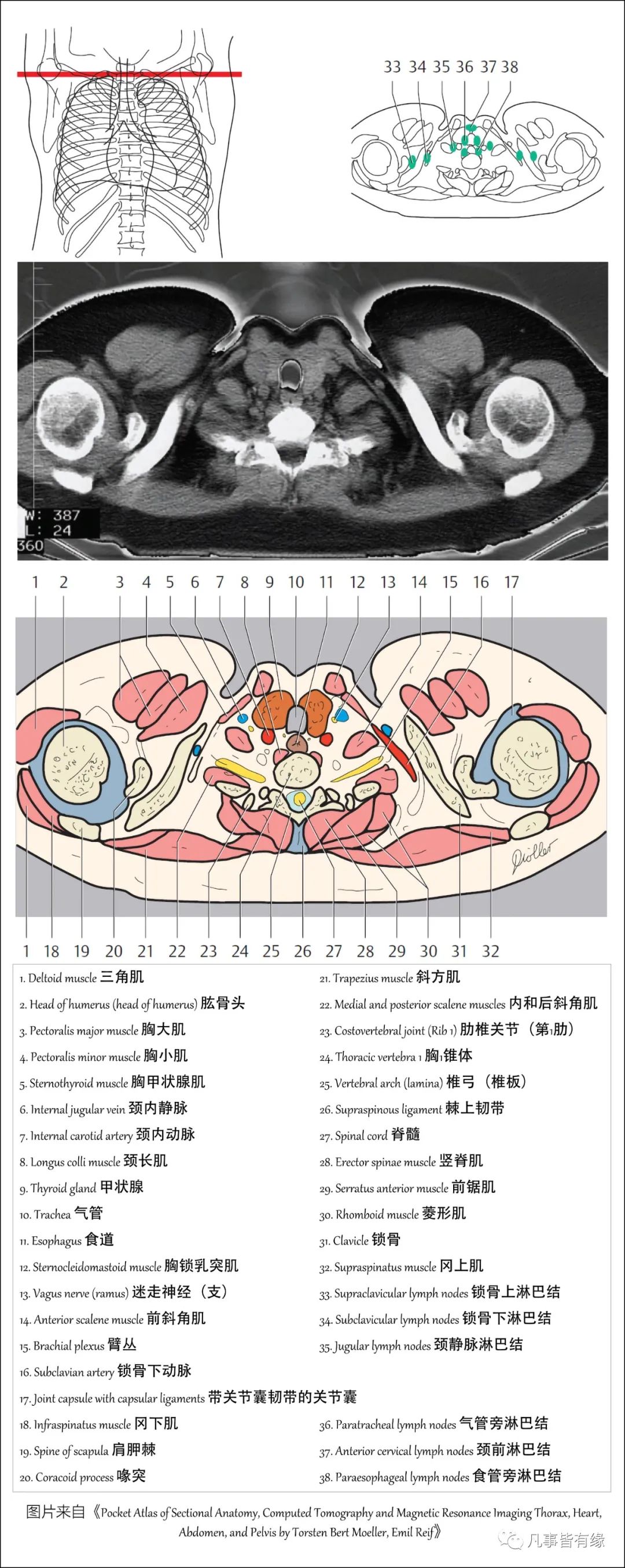 2024新奥资料免费精准061_最新核心解剖落实_尊贵版3.69.21.103