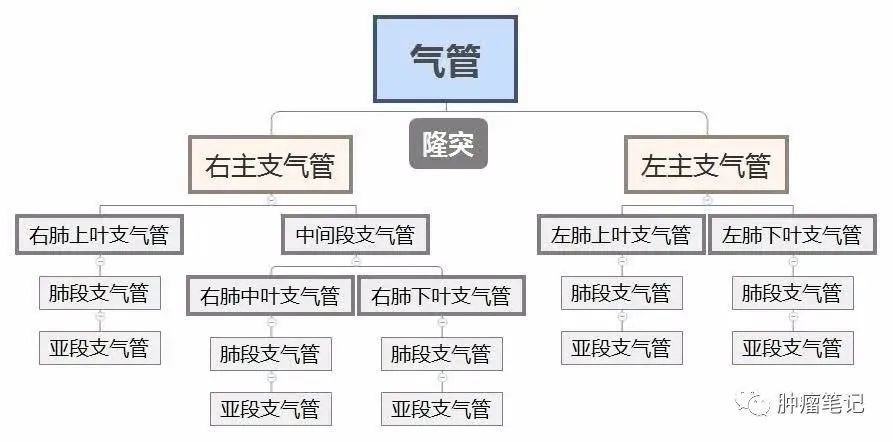 澳门六彩资料网站_效率资料解剖落实_尊贵版81.224.49.172