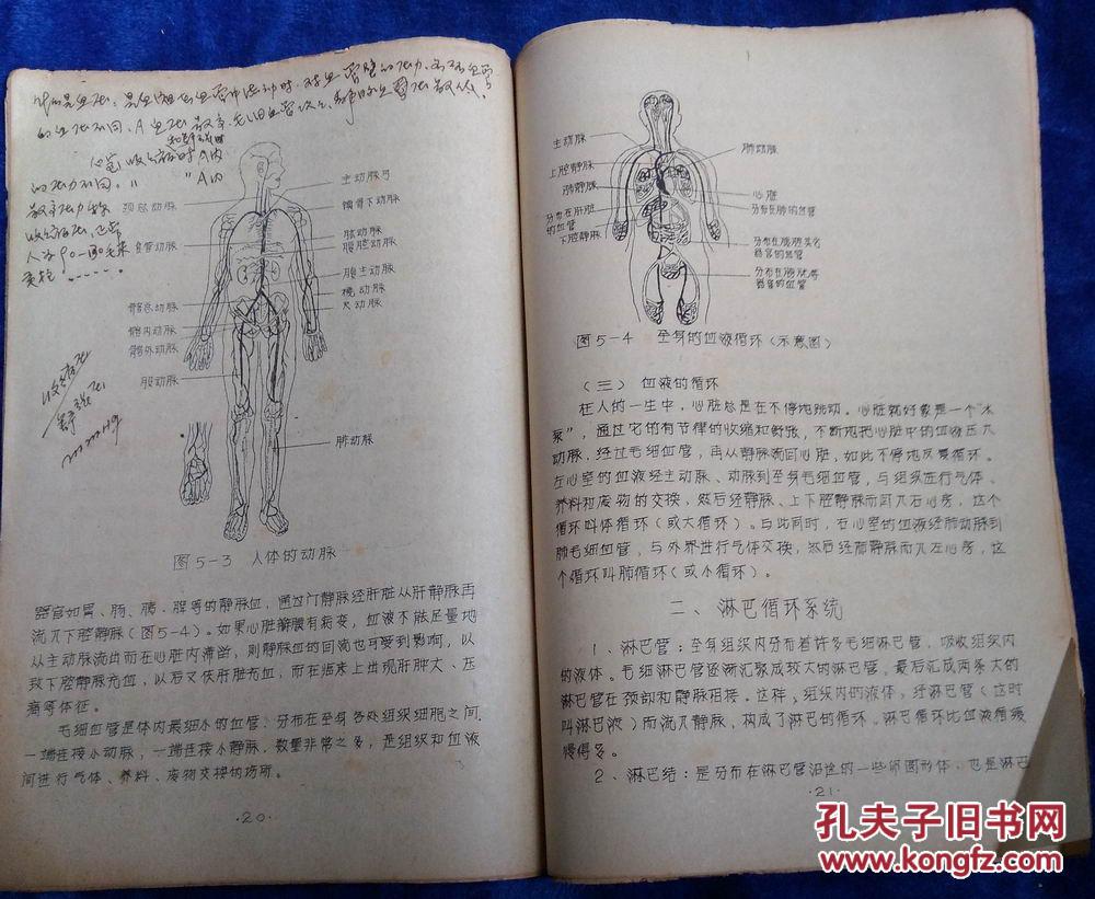 香港最准100‰免费_准确资料解剖落实_尊贵版136.218.175.83